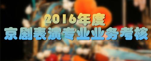 美国草逼网址国家京剧院2016年度京剧表演专业业务考...